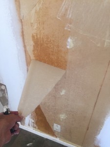 tips for peeling the backing layer off